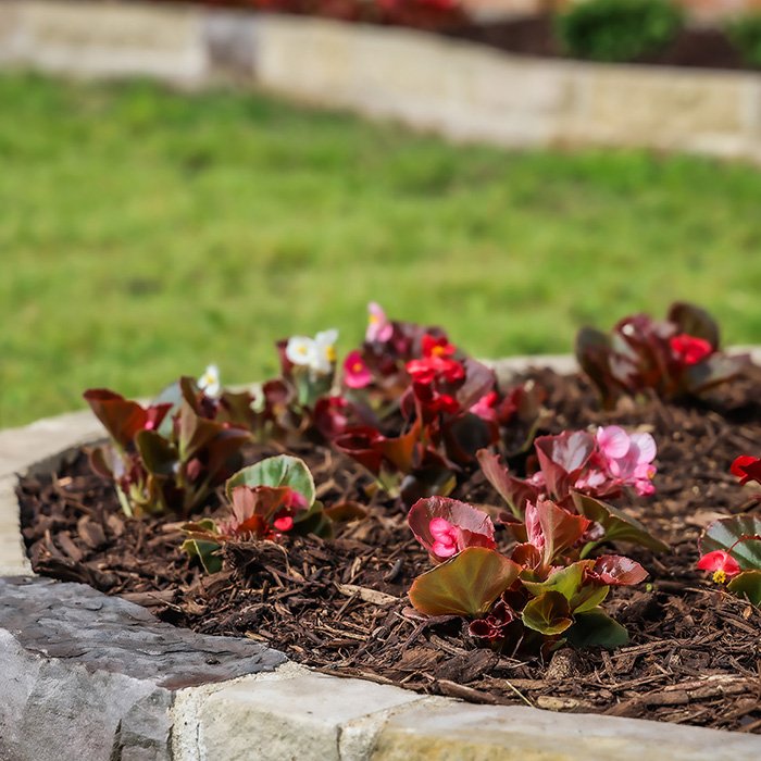 landscaping flower gardens frisco tx
