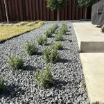 best landscape designer in frisco